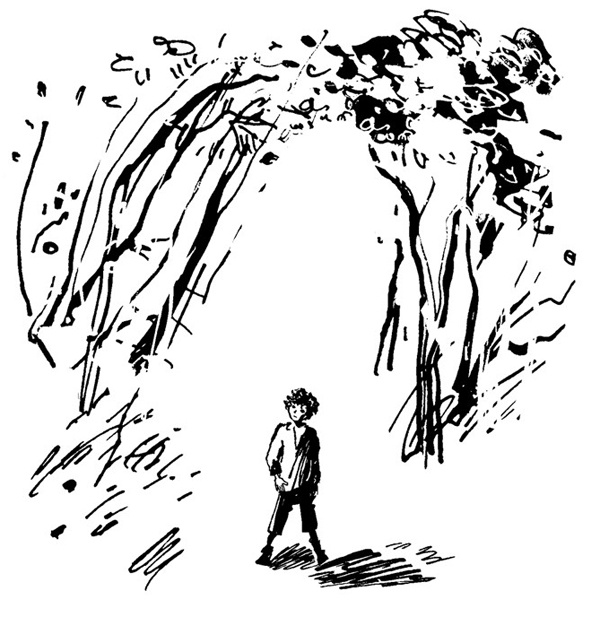 Иллюстрация к книге — Беги, мальчик, беги [i_013.jpg]