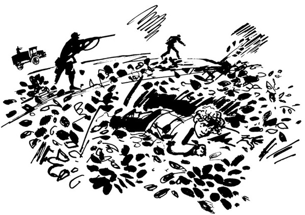 Иллюстрация к книге — Беги, мальчик, беги [i_015.jpg]