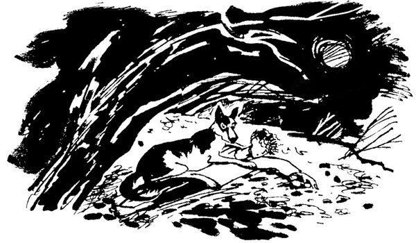 Иллюстрация к книге — Беги, мальчик, беги [i_020.jpg]