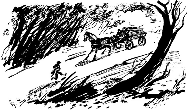 Иллюстрация к книге — Беги, мальчик, беги [i_028.jpg]