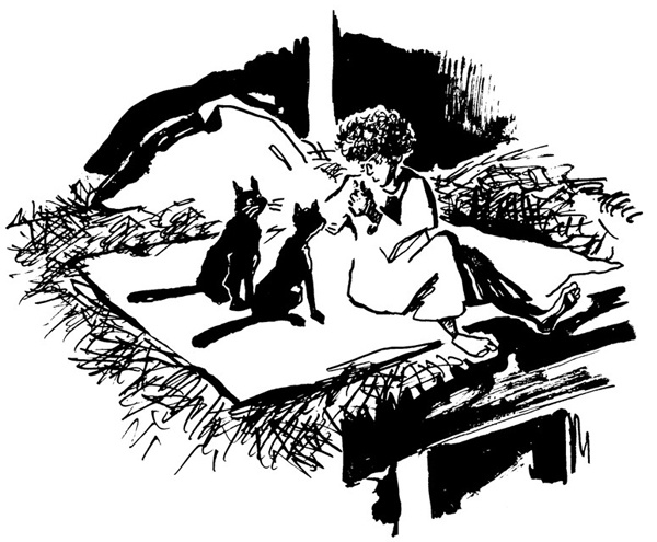 Иллюстрация к книге — Беги, мальчик, беги [i_029.jpg]