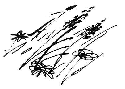 Иллюстрация к книге — Беги, мальчик, беги [i_044.jpg]