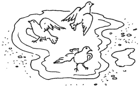 Иллюстрация к книге — КОГИз. Записки на полях эпохи [i_049.jpg]