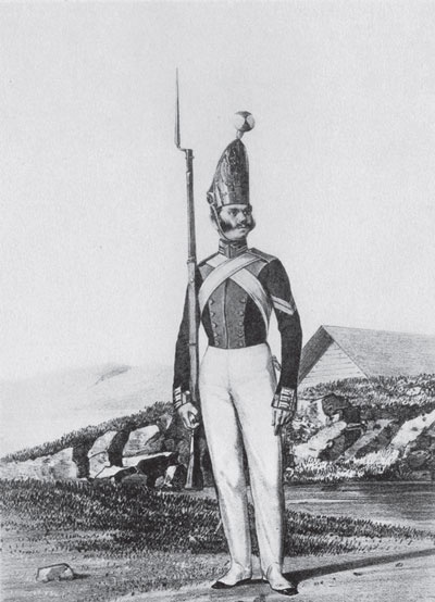 Иллюстрация к книге — Военный Петербург эпохи Николая I [i_403.jpg]