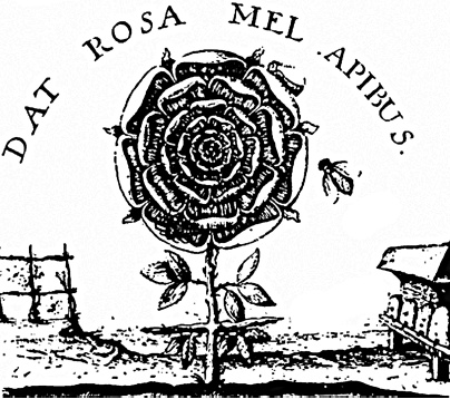 Иллюстрация к книге — Сумерки вампиров. Мифы и правда о вампиризме [i_029.jpg]