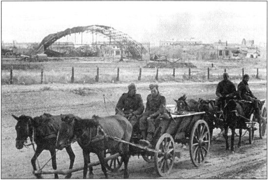 Иллюстрация к книге — Жертвы Сталинграда [i_020.jpg]