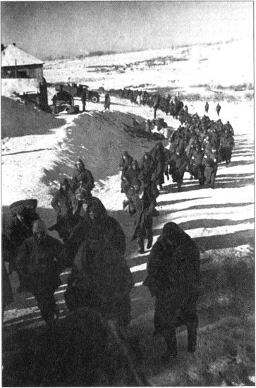 Иллюстрация к книге — Жертвы Сталинграда [i_028.jpg]