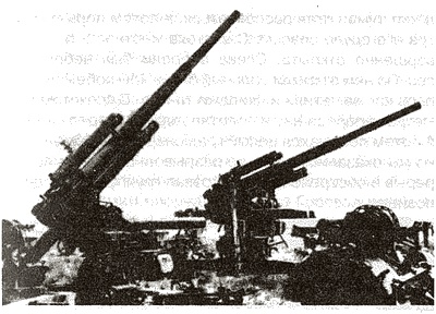 Иллюстрация к книге — Кровавый кошмар Восточного фронта. Откровения офицера парашютно-танковой дивизии &quot;Герман Геринг&quot; [i_008.jpg]