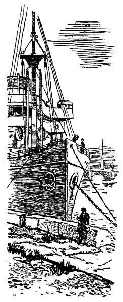 Иллюстрация к книге — Тайная схватка [i_002.jpg]