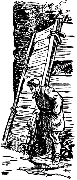 Иллюстрация к книге — Тарантул [i_002.jpg]