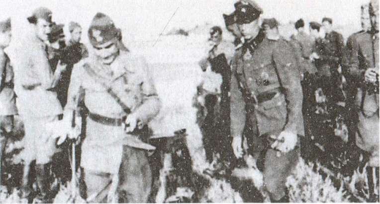 Иллюстрация к книге — Откровения танкового генерала СС [i_016.jpg]