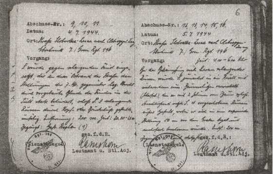 Иллюстрация к книге — Железный крест для снайпера. Убийца со снайперской винтовкой [i_008.jpg]