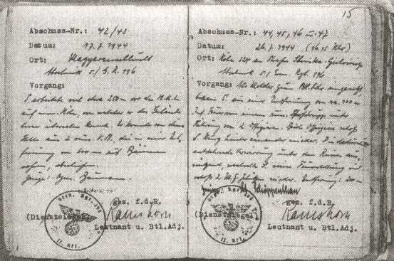 Иллюстрация к книге — Железный крест для снайпера. Убийца со снайперской винтовкой [i_011.jpg]