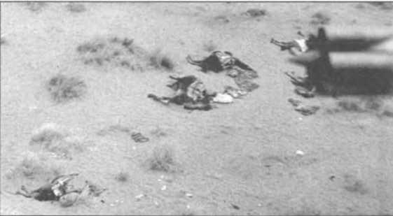 Иллюстрация к книге — Мы атакуем с небес [i_109.jpg]