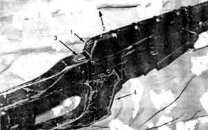 Иллюстрация к книге — Искусство снайпера [image075.jpg]