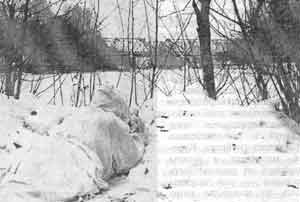 Иллюстрация к книге — Искусство снайпера [image266.jpg]