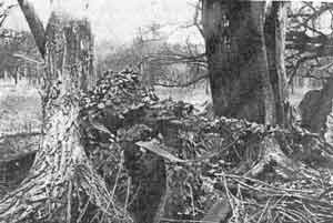 Иллюстрация к книге — Искусство снайпера [image281.jpg]