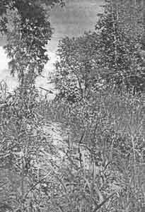 Иллюстрация к книге — Искусство снайпера [image283.jpg]