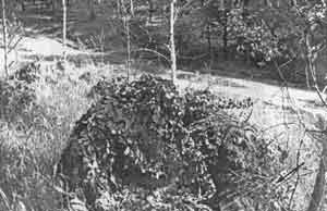 Иллюстрация к книге — Искусство снайпера [image285.jpg]