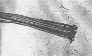 Иллюстрация к книге — Искусство снайпера [image286.jpg]