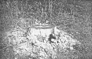 Иллюстрация к книге — Искусство снайпера [image292.jpg]