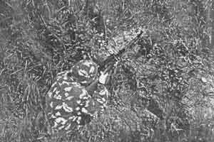 Иллюстрация к книге — Искусство снайпера [image301.jpg]