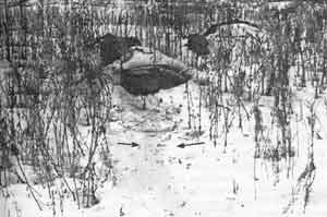 Иллюстрация к книге — Искусство снайпера [image308.jpg]