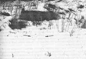 Иллюстрация к книге — Искусство снайпера [image309.jpg]