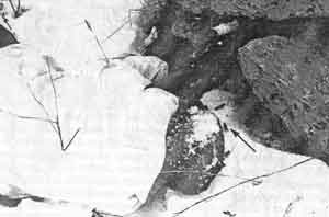 Иллюстрация к книге — Искусство снайпера [image310.jpg]