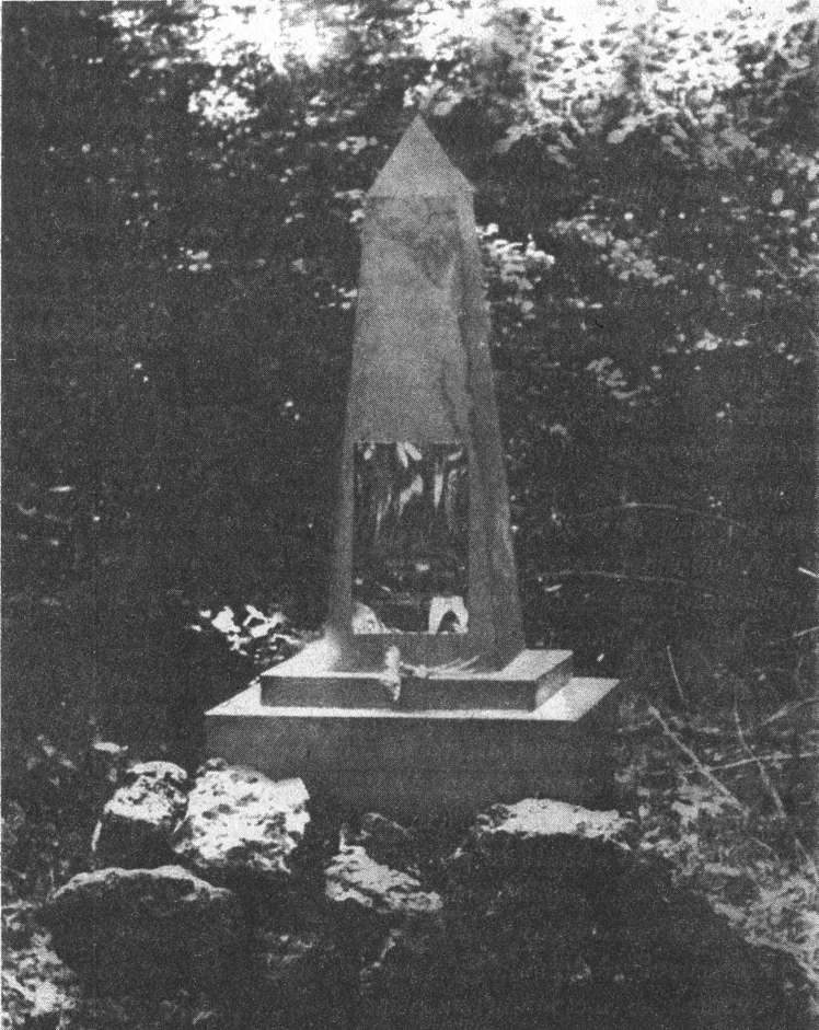 Иллюстрация к книге — Страшная правда о Великой Отечественной. Партизаны без грифа &quot;Секретно&quot; [i_003.jpg]