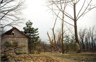 Иллюстрация к книге — Сербский закат [i_002.jpg]