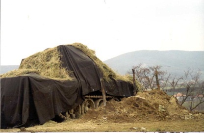 Иллюстрация к книге — Сербский закат [i_006.jpg]