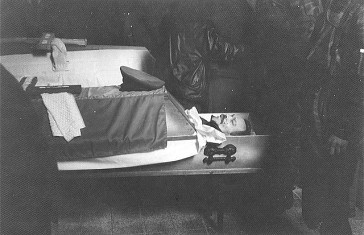 Иллюстрация к книге — Русские волки [i_015.jpg]