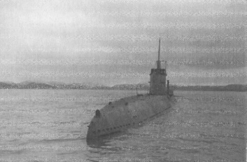 Иллюстрация к книге — Арктические тени Третьего рейха [_06.jpg]