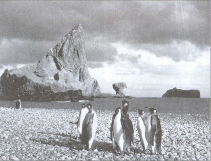 Иллюстрация к книге — Загадки Шестого континента [i_010.jpg]