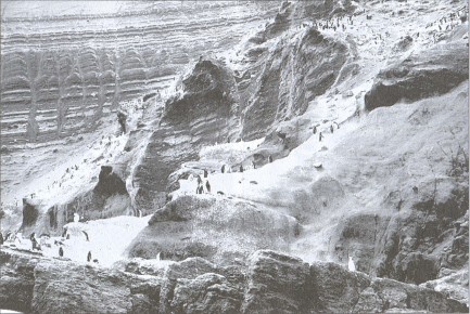 Иллюстрация к книге — Загадки Шестого континента [i_011.jpg]