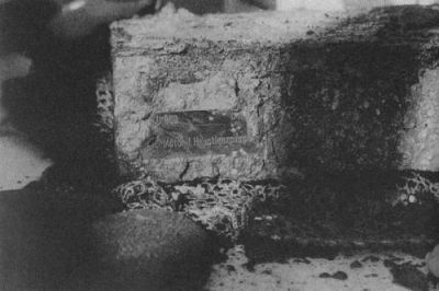 Иллюстрация к книге — Ныряющие в темноту [i_004.jpg]