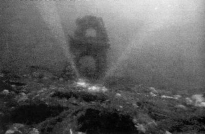 Иллюстрация к книге — Ныряющие в темноту [i_024.jpg]