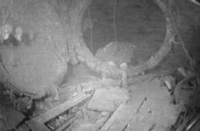 Иллюстрация к книге — Ныряющие в темноту [i_040.jpg]