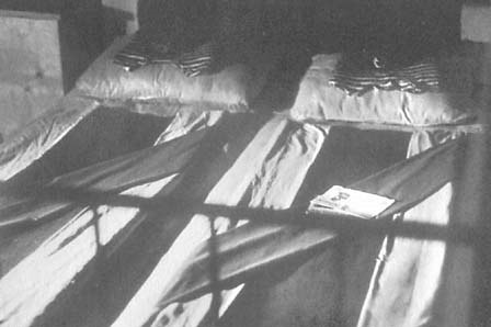 Иллюстрация к книге — Афганский дневник [i_014.jpg]