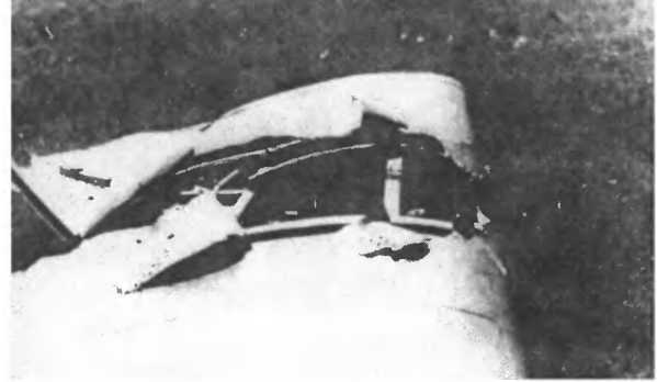 Иллюстрация к книге — Бомбы сброшены! [i_021.jpg]