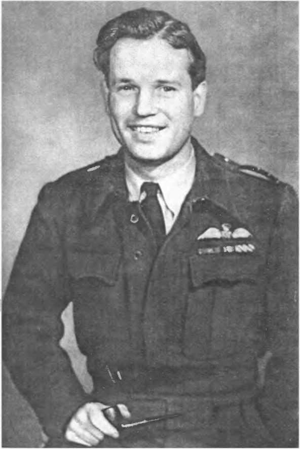 Иллюстрация к книге — Бомбы сброшены! [i_022.jpg]