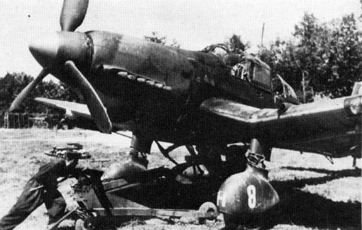 Иллюстрация к книге — Пилот `Штуки`. Мемуары аса люфтваффе [_14.jpg]