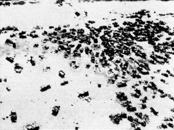 Иллюстрация к книге — Пилот `Штуки`. Мемуары аса люфтваффе [_21.jpg]