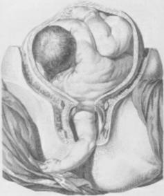 Иллюстрация к книге — Тысяча осеней Якоба де Зута [i_001.jpg]