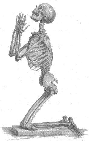 Иллюстрация к книге — Тысяча осеней Якоба де Зута [i_006.jpg]