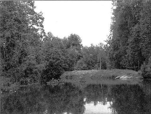 Иллюстрация к книге — Боярское царство. Тайна смерти Петра II [i_020.jpg]