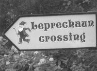 Иллюстрация к книге — Ирландия. Прогулки по священному острову [_16_.jpg]