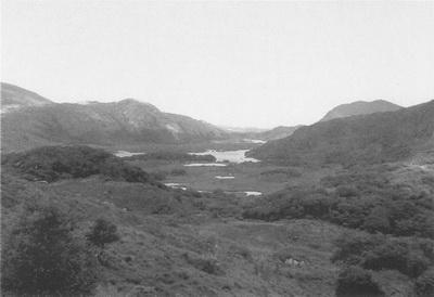 Иллюстрация к книге — Ирландия. Прогулки по священному острову [_17_.jpg]