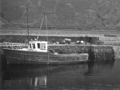 Иллюстрация к книге — Ирландия. Прогулки по священному острову [_20_.jpg]